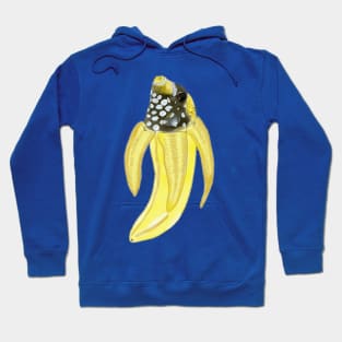 A perfect day for a bananafish Hoodie